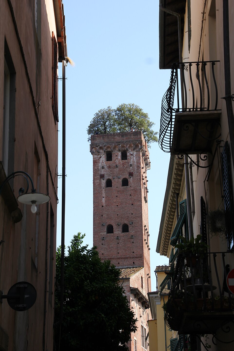 Torre Guinigi, Lucca