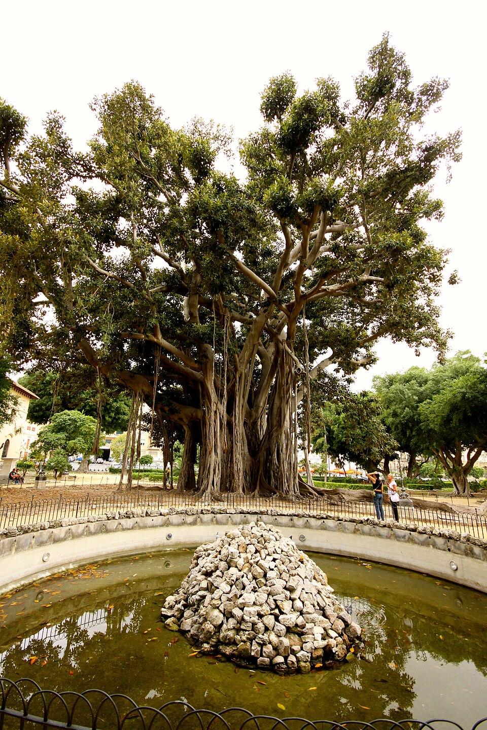 Piazza Marina e Giardino Garibaldi, Palermo