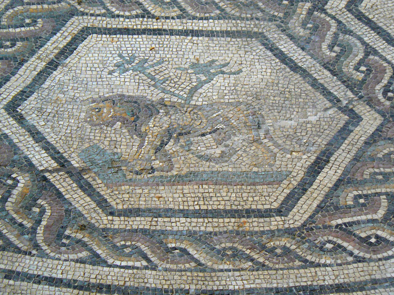 Domus del Chirurgo, Rimini