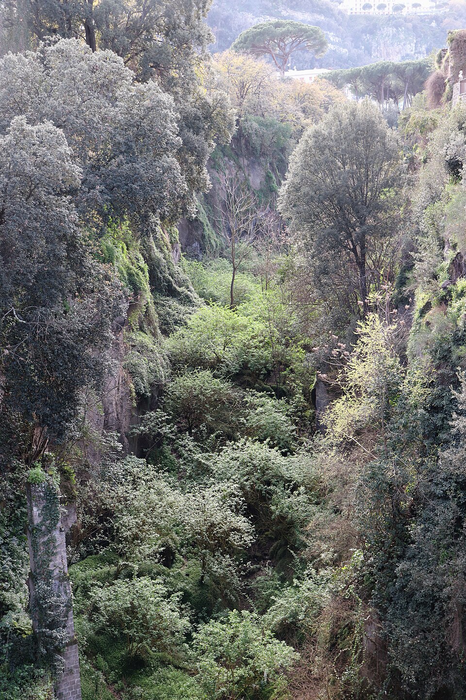 Vallone dei Mulini, Sorrento