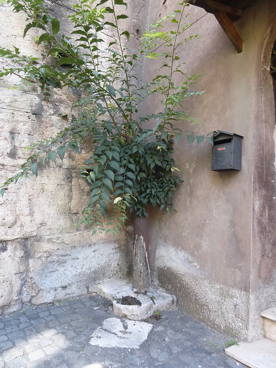 Via del Colle, Tivoli