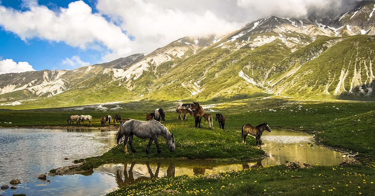 Cavalli al pascolo vicino a un laghetto sull'altopiano di Campo Imperatore, Gran Sasso