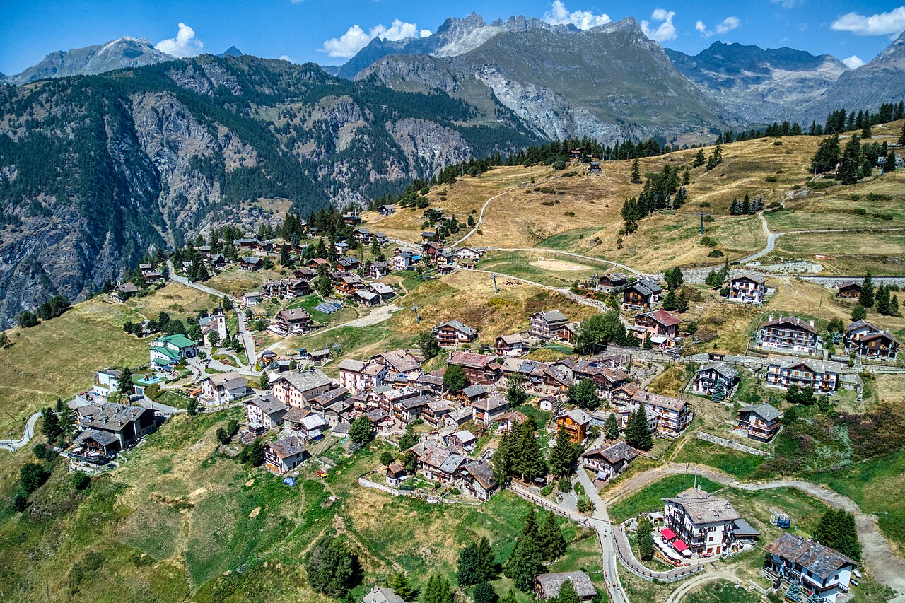 Chamois