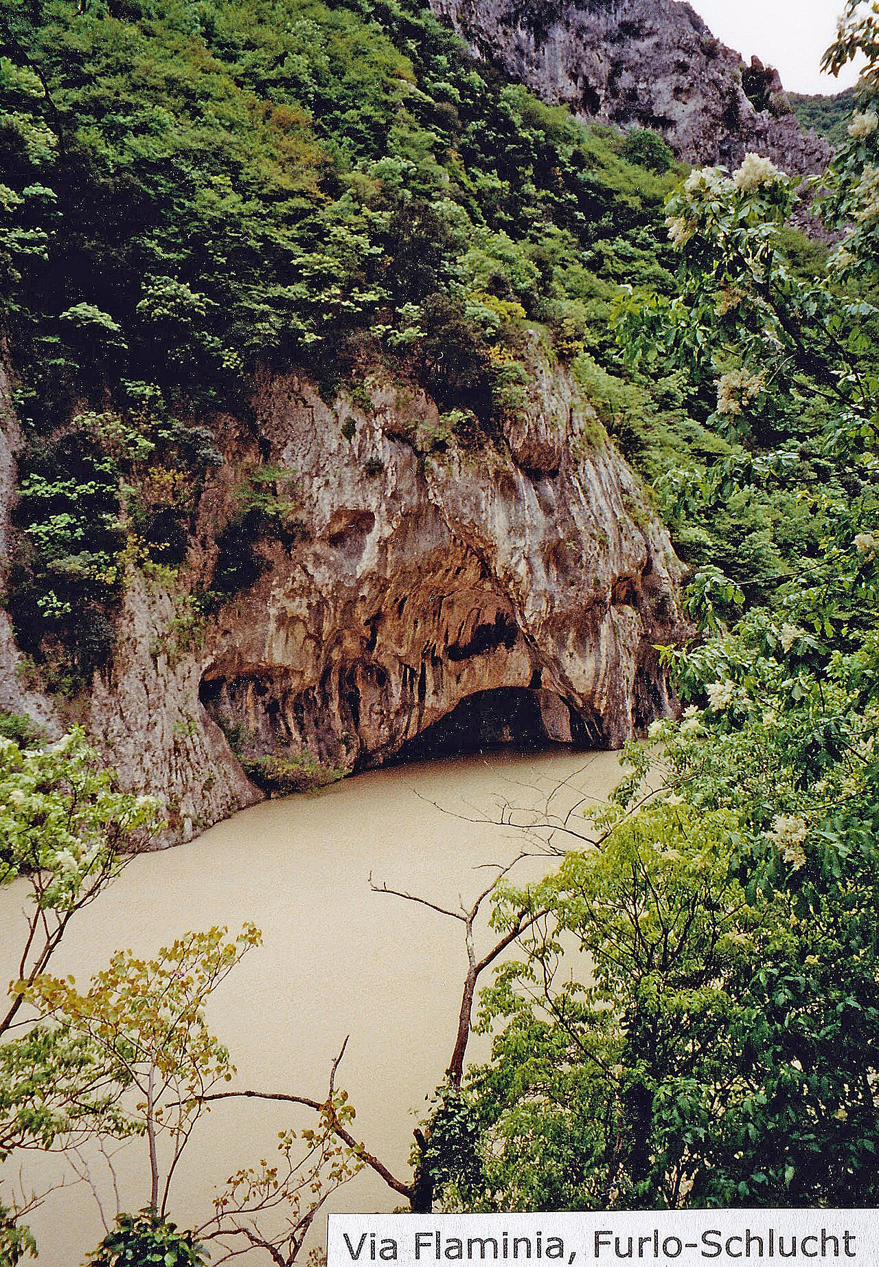 Gola del Furlo, Acqualagna