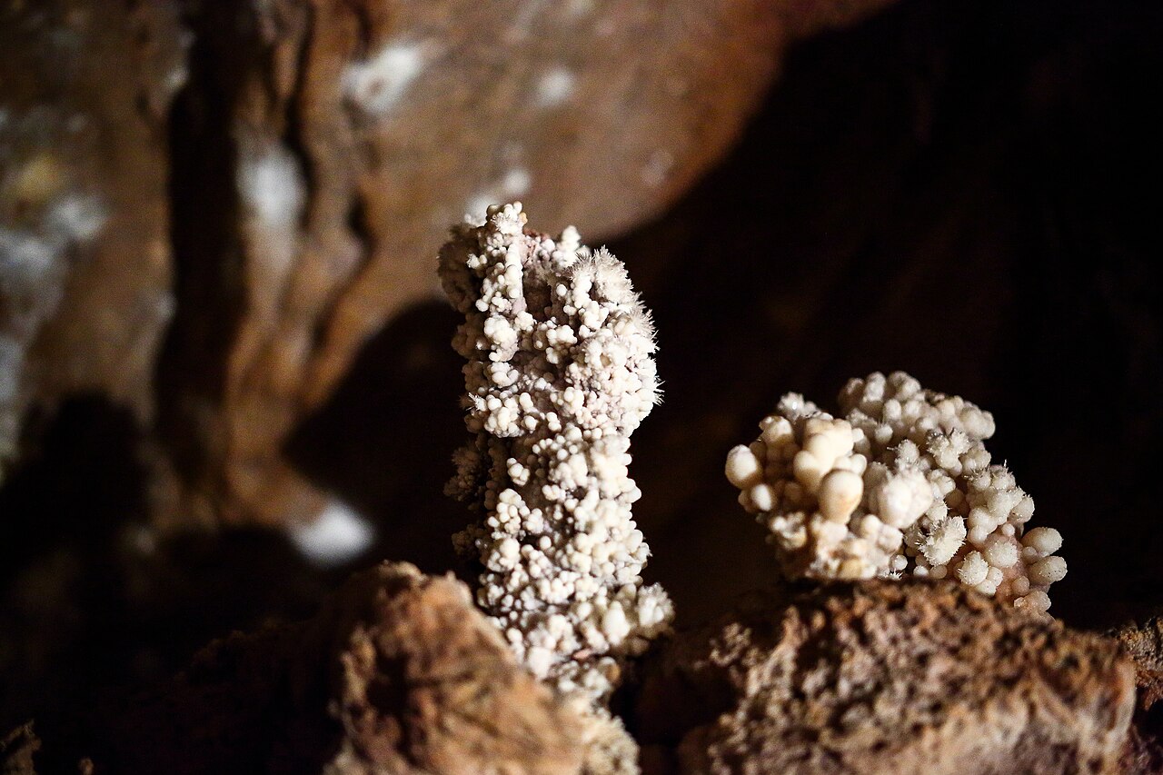 Grotte di Toirano, Toirano