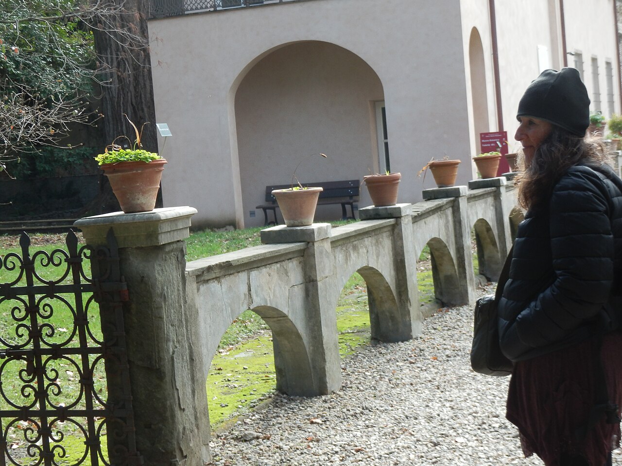 Orto Botanico di Pisa, Pisa