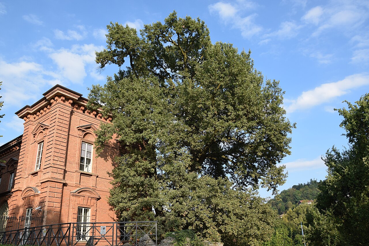 Parco del Valentino, Torino