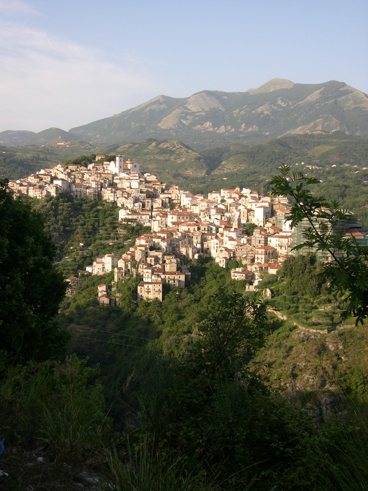 Rivello, Rivello