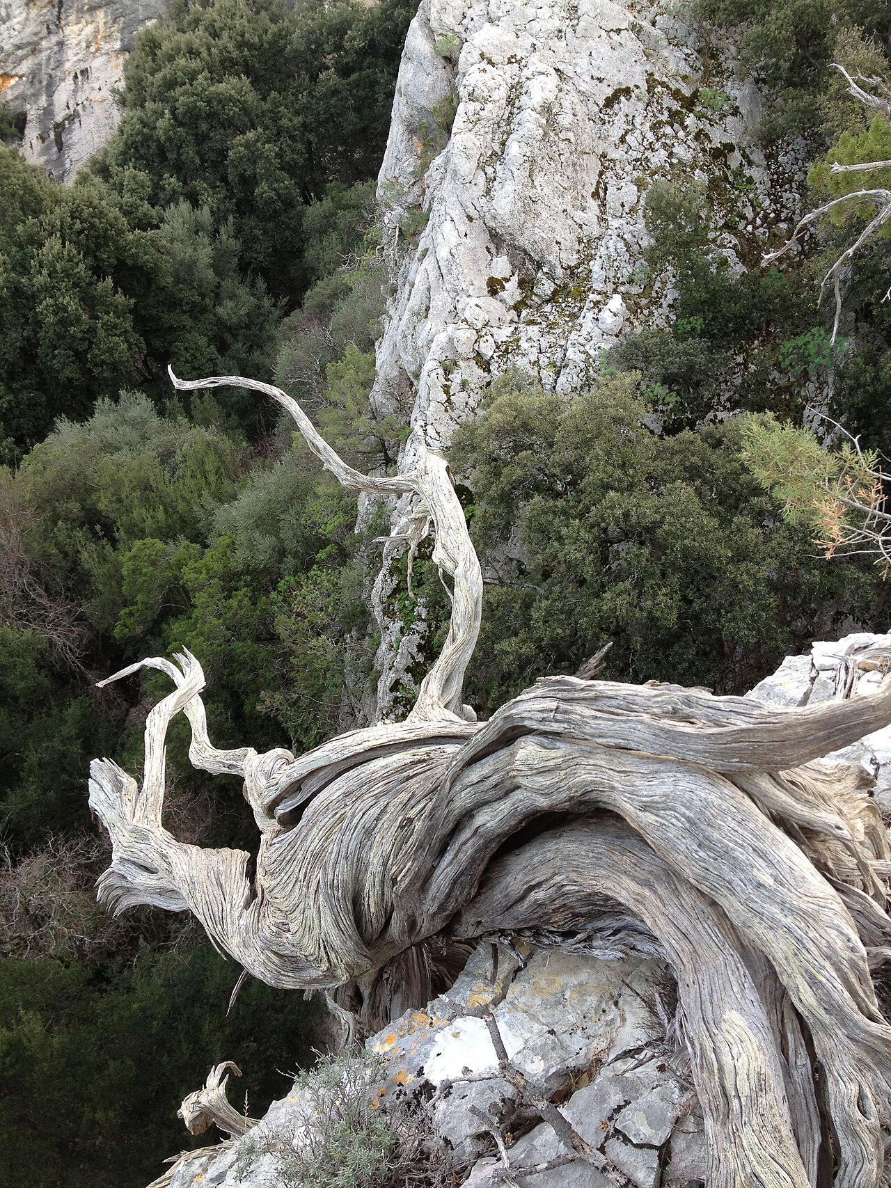 Tiscali, Dorgali